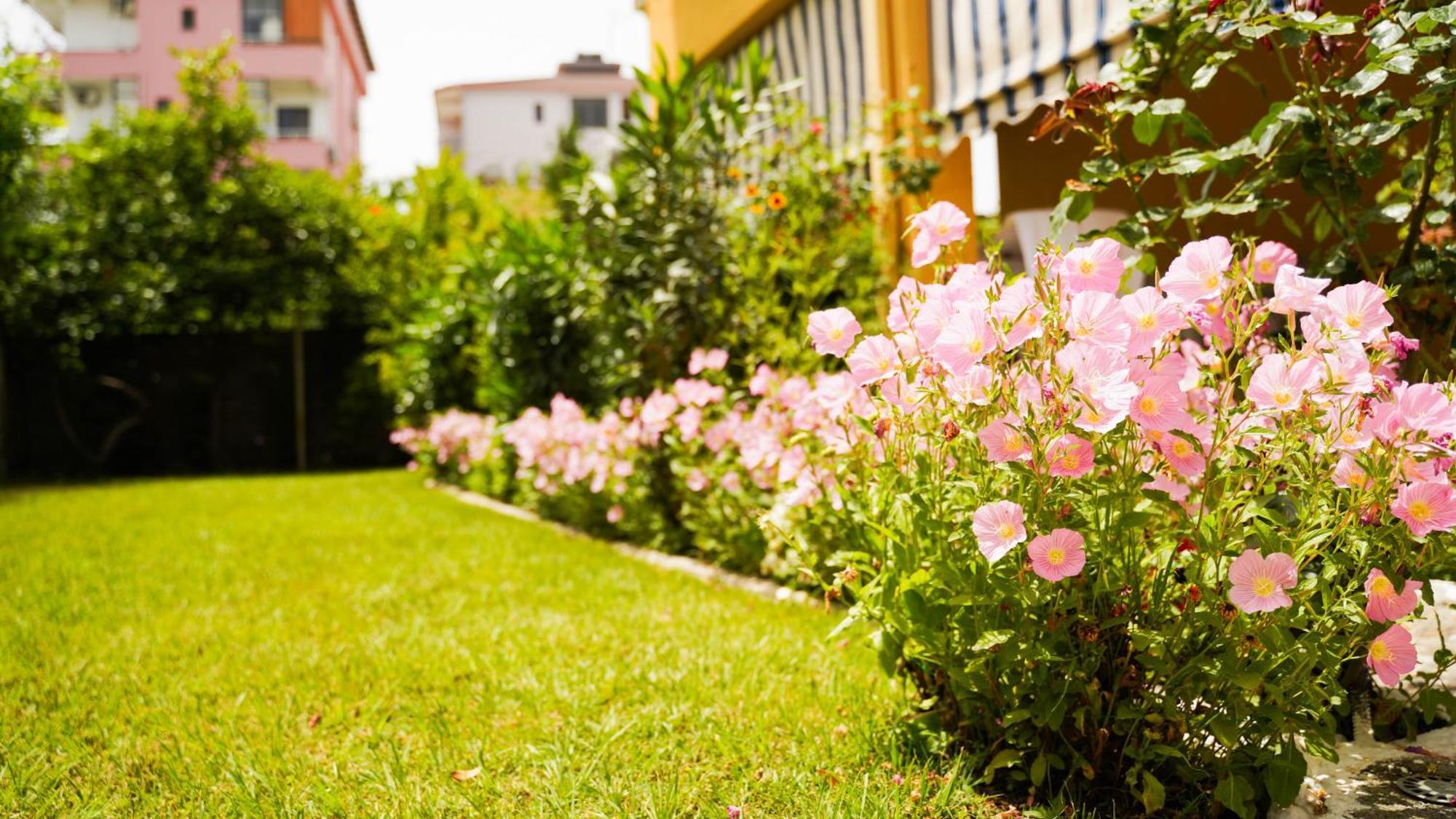 Vila Aliaj Luxury Apartment With 2 Rooms With Private Wonderful Terrace Durrës Exteriör bild